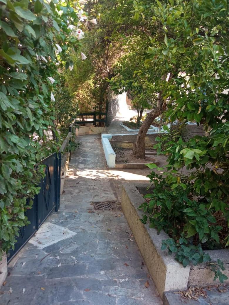 Utopia * Aegina